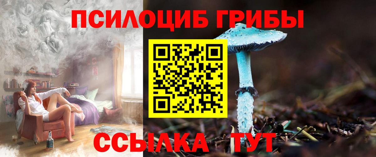 Галлюциногенные грибы GOLDEN TEACHER Чапаевск